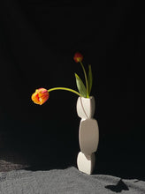 Load image into Gallery viewer, Modern Ceramic Vase
